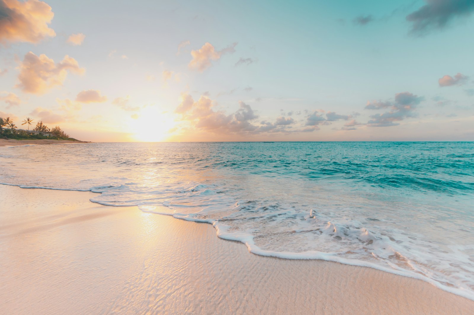 A pale beach at sunrise, with small waves washing onto the sand and palm trees in the distance. It accompanies an article about Photography, crop, and the product grid.